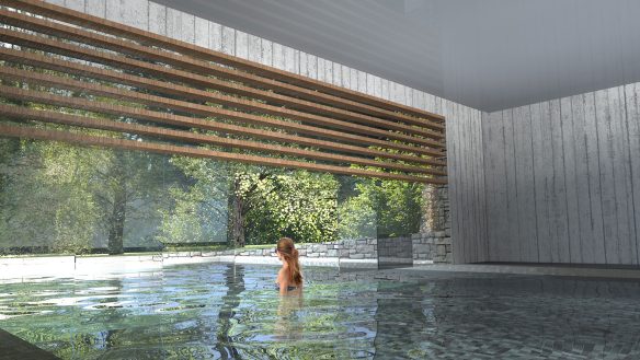 visual for indoor swimming pool that leads outside